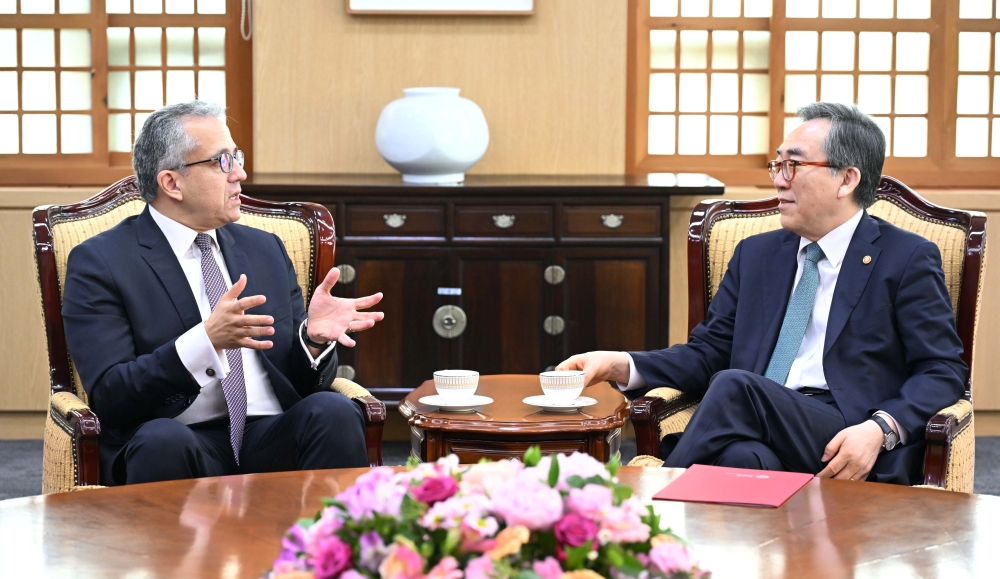 조태열 장관, 알아나니 이집트 전 관광‧유물부 장관 면담